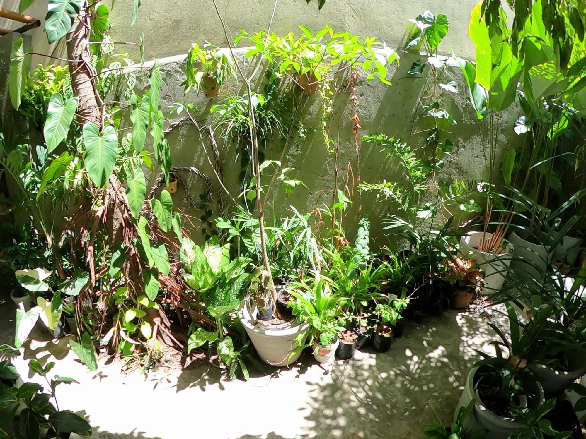 Residencial Casa Flor Atelier Botanico, Ponta Negra