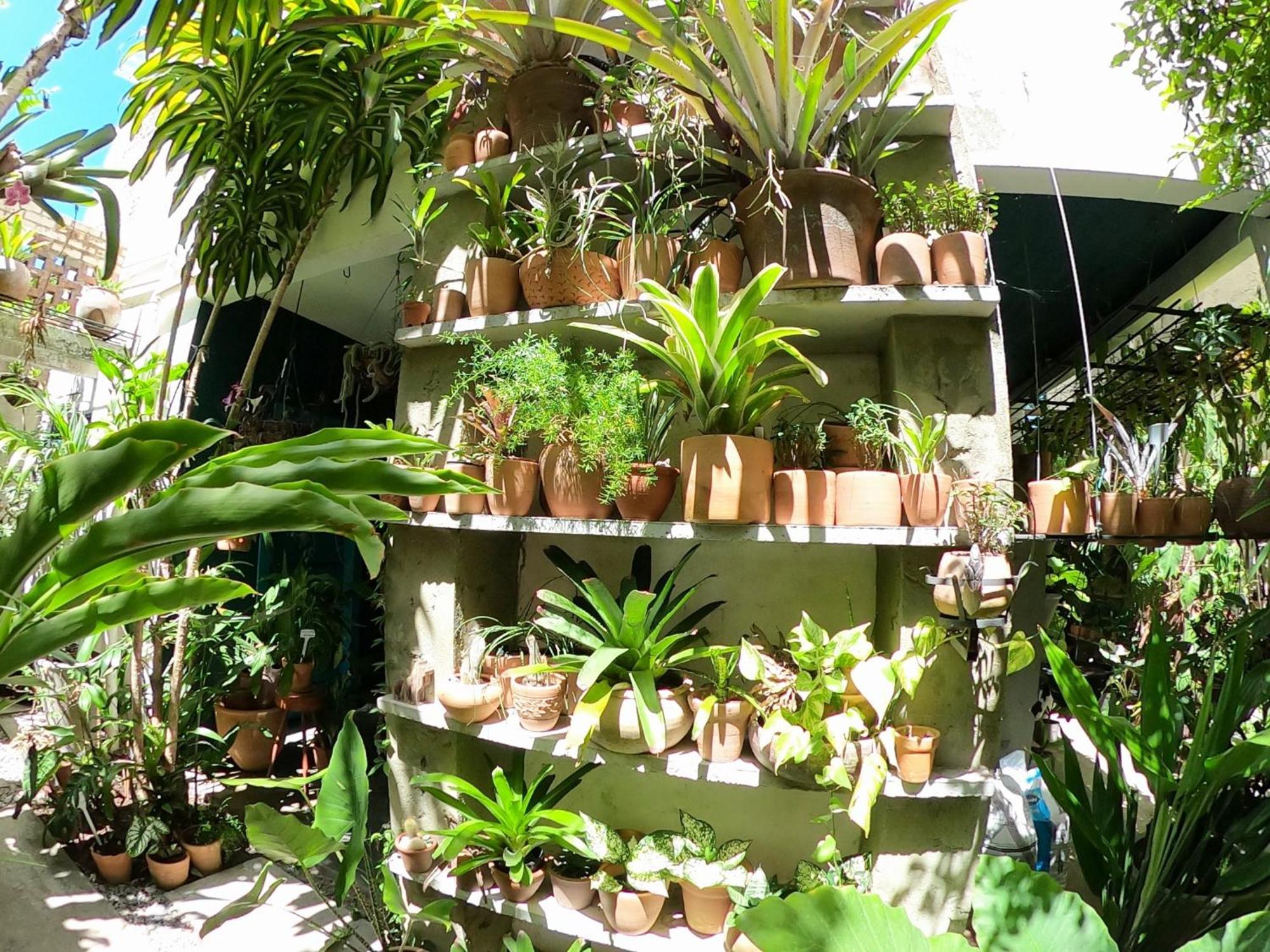 Residencial Casa Flor Atelier Botanico, Ponta Negra Natal