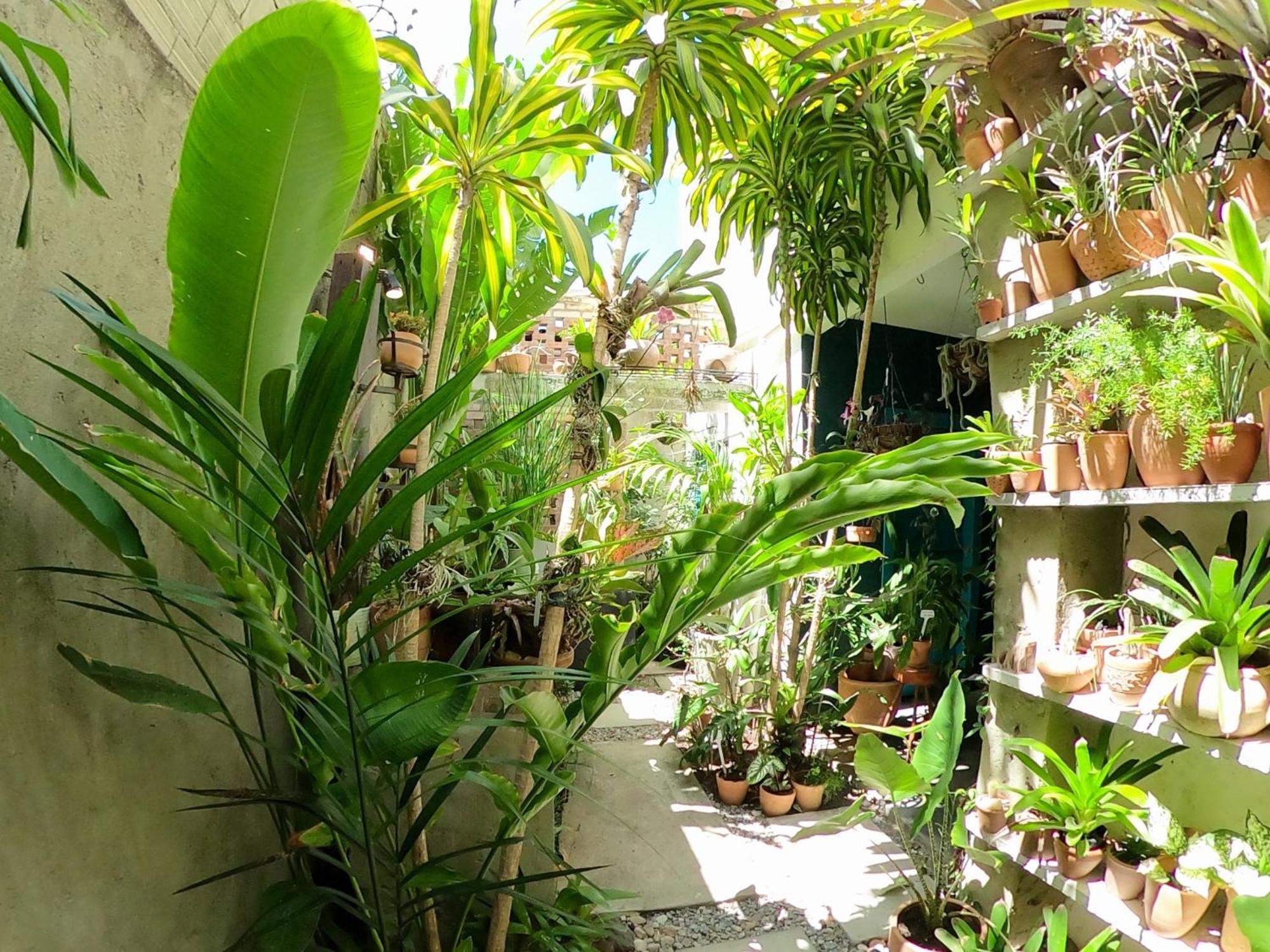 Residencial Casa Flor Atelier Botanico, Ponta Negra