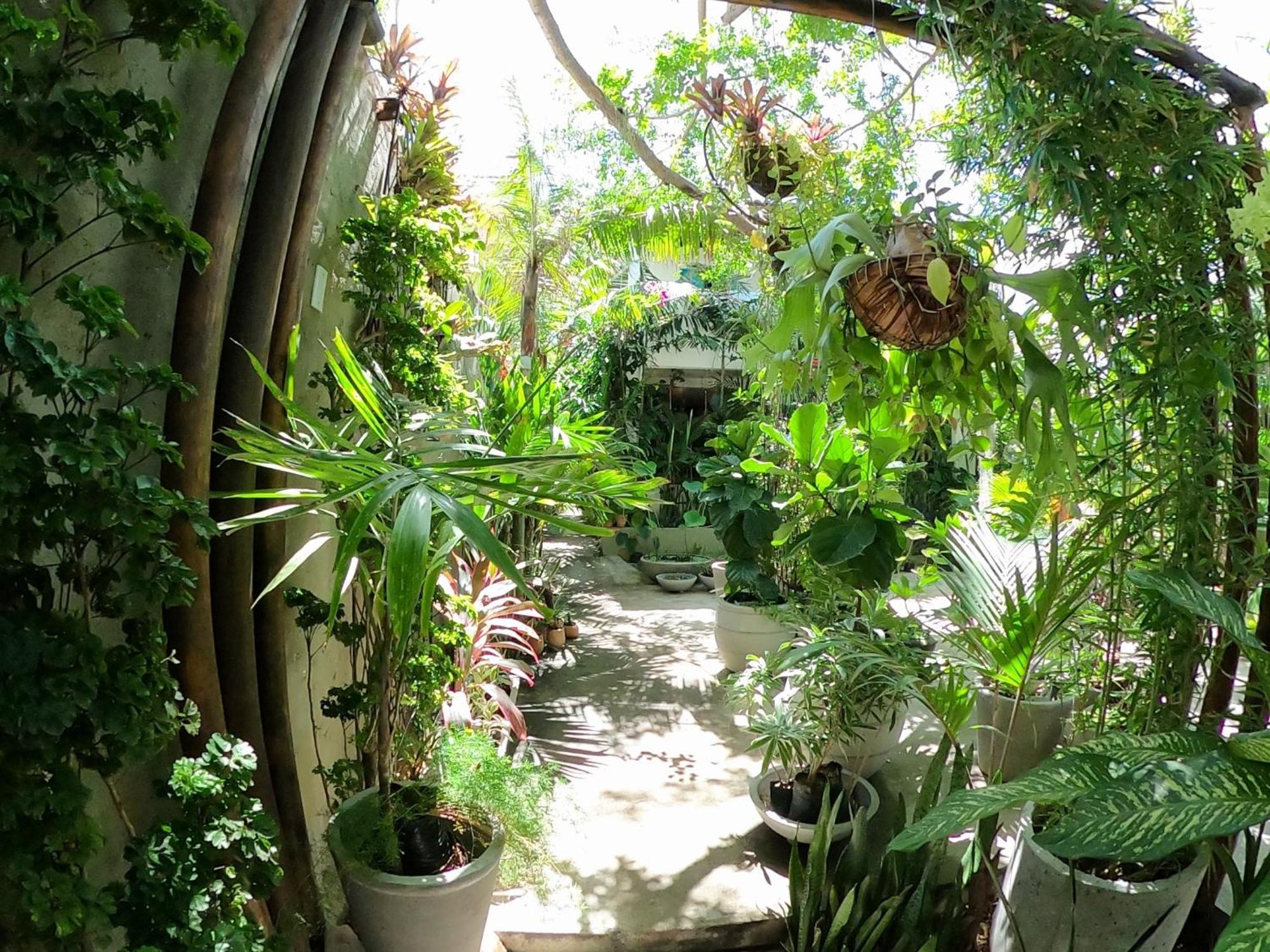 Residencial Casa Flor Atelier Botanico, Ponta Negra Apartment Natal