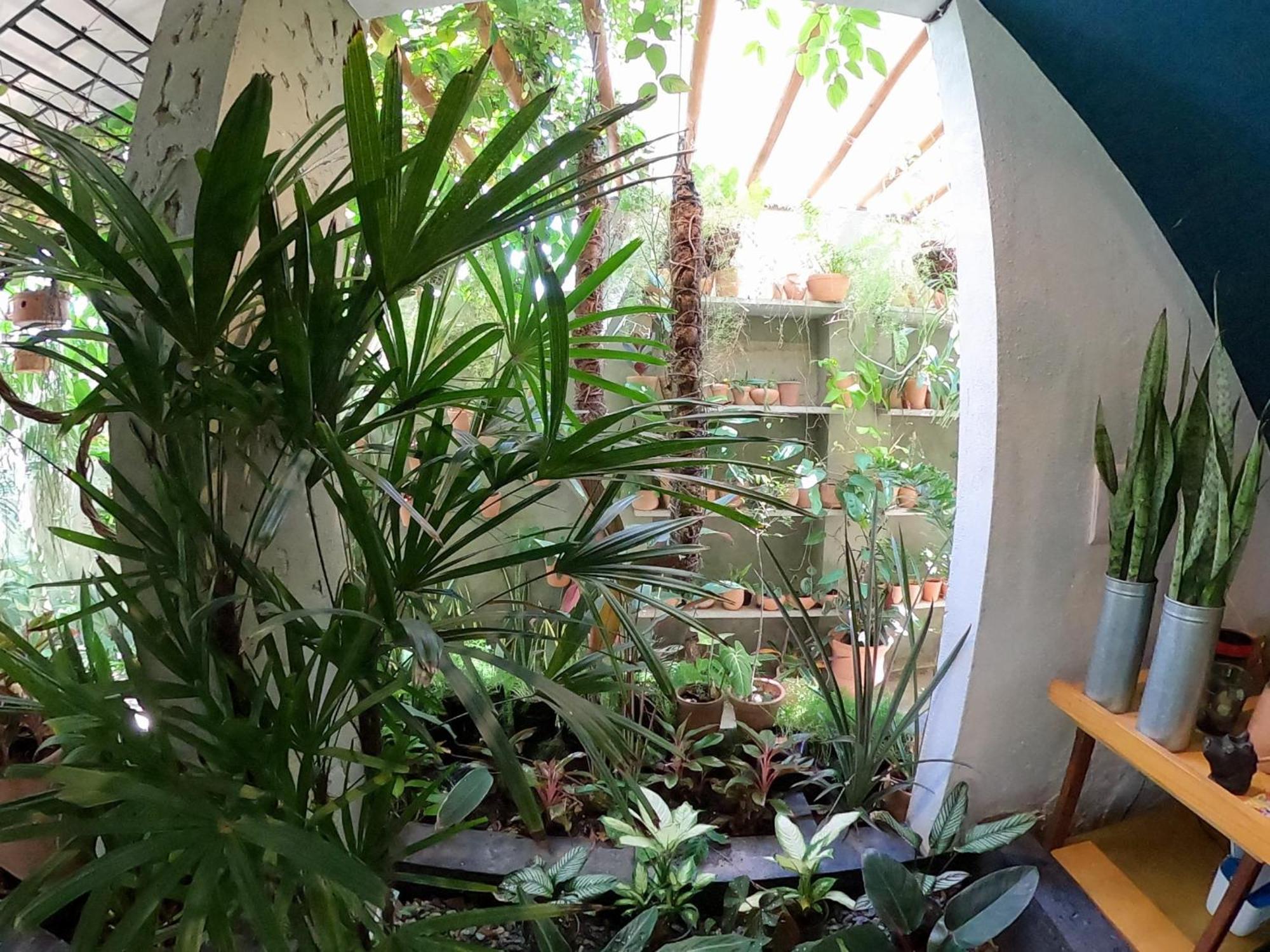 Residencial Casa Flor Atelier Botanico, Ponta Negra Natal