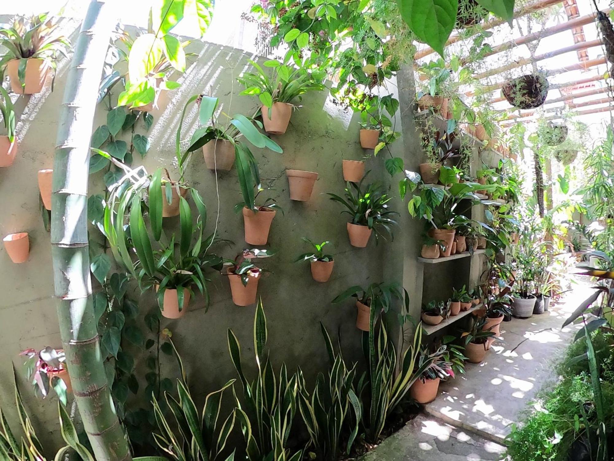 Residencial Casa Flor Atelier Botanico, Ponta Negra *