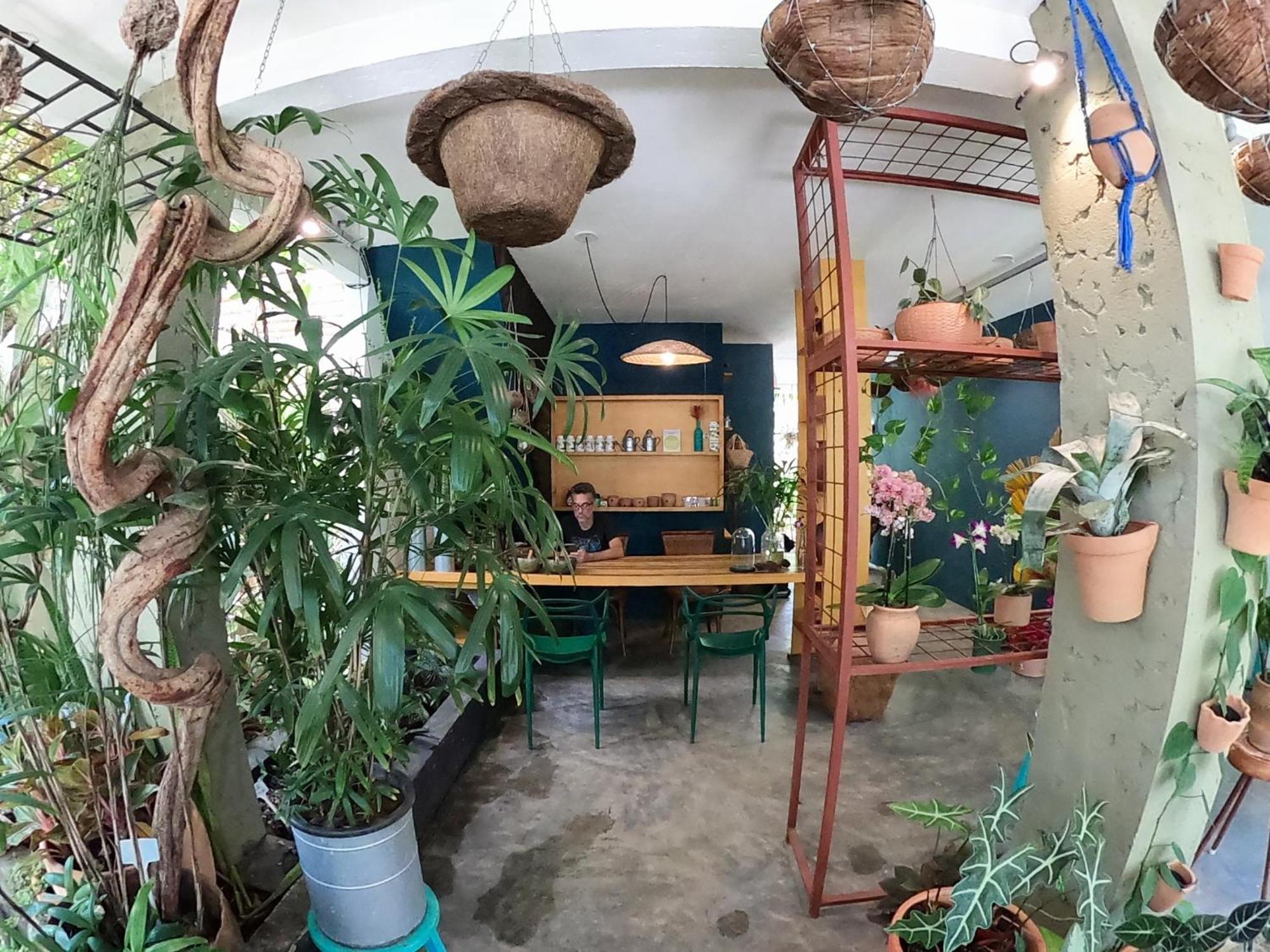 Residencial Casa Flor Atelier Botanico, Ponta Negra