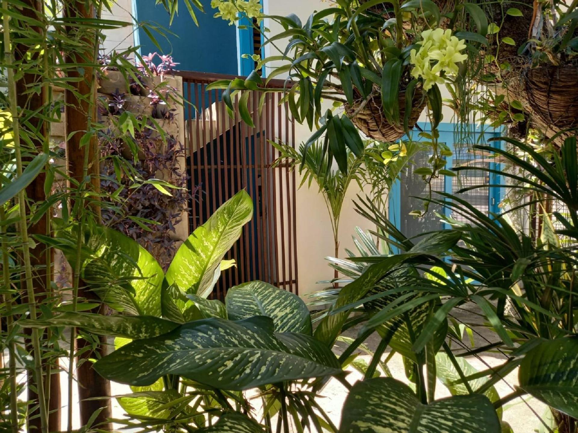 Residencial Casa Flor Atelier Botanico, Ponta Negra Apartment *