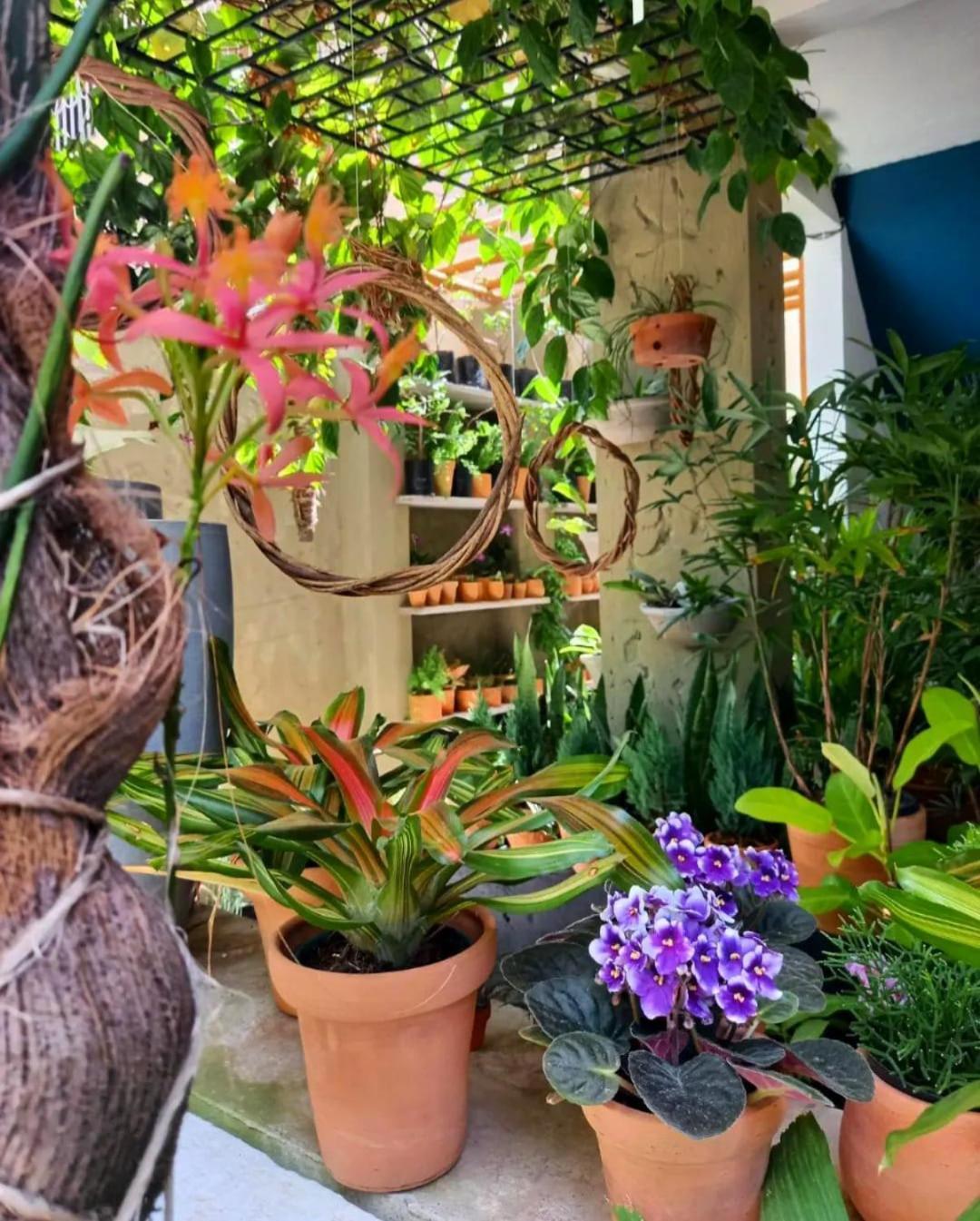 Residencial Casa Flor Atelier Botanico, Ponta Negra